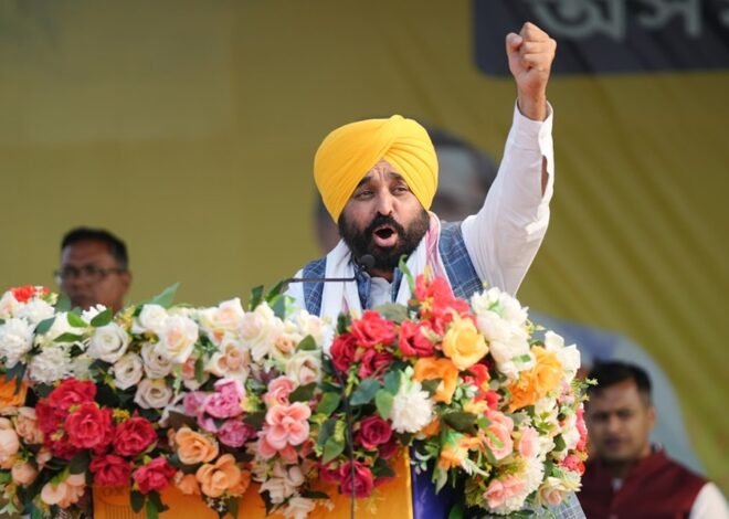 ਲੋਕਸਭਾ ਚੋਣਾਂ 2024: CM ਮਾਨ ਸਾਂਭਣਗੇ ਮੋਰਚਾ, ਕੱਲ੍ਹੇ-ਕੱਲ੍ਹੇ ਹਲਕੇ ‘ਚ ਖ਼ੁਦ ਕਰਨਗੇ ਪ੍ਰਚਾਰ